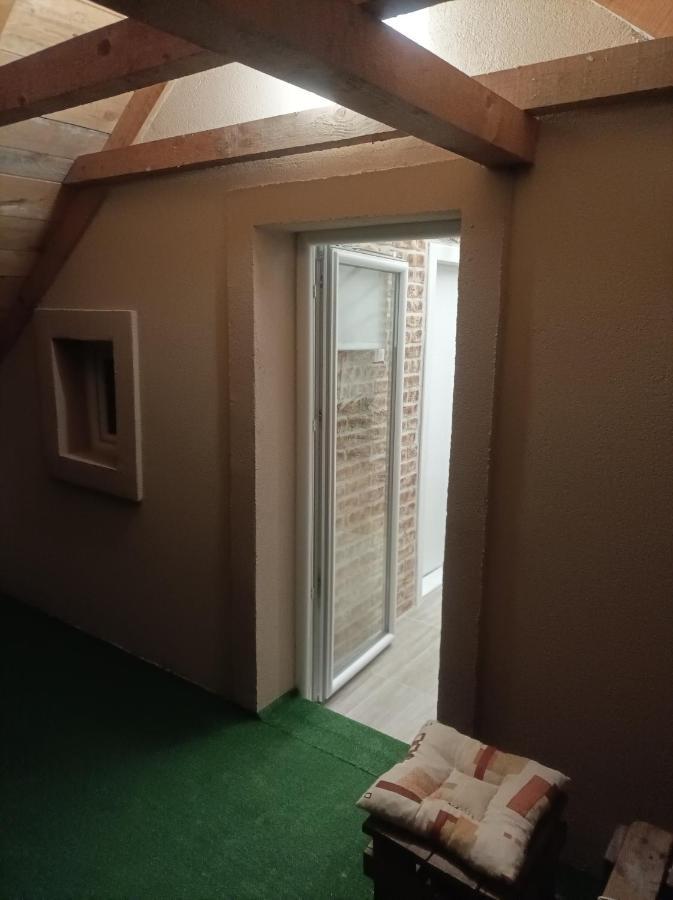 Apartmani Marija Zemun Zemun Polje 외부 사진