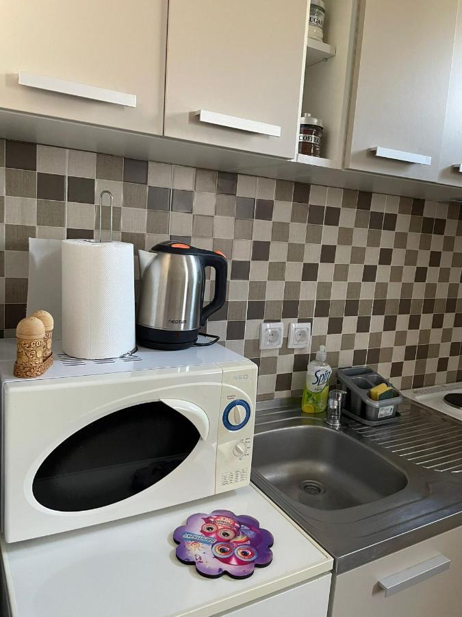 Apartmani Marija Zemun Zemun Polje 외부 사진