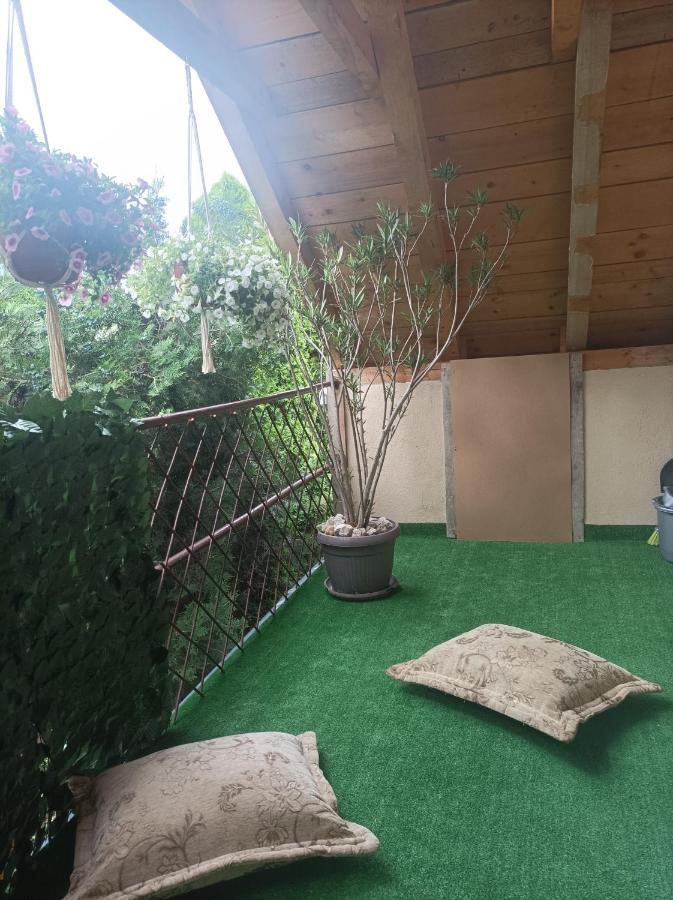 Apartmani Marija Zemun Zemun Polje 외부 사진
